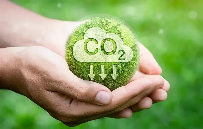 Sustainability