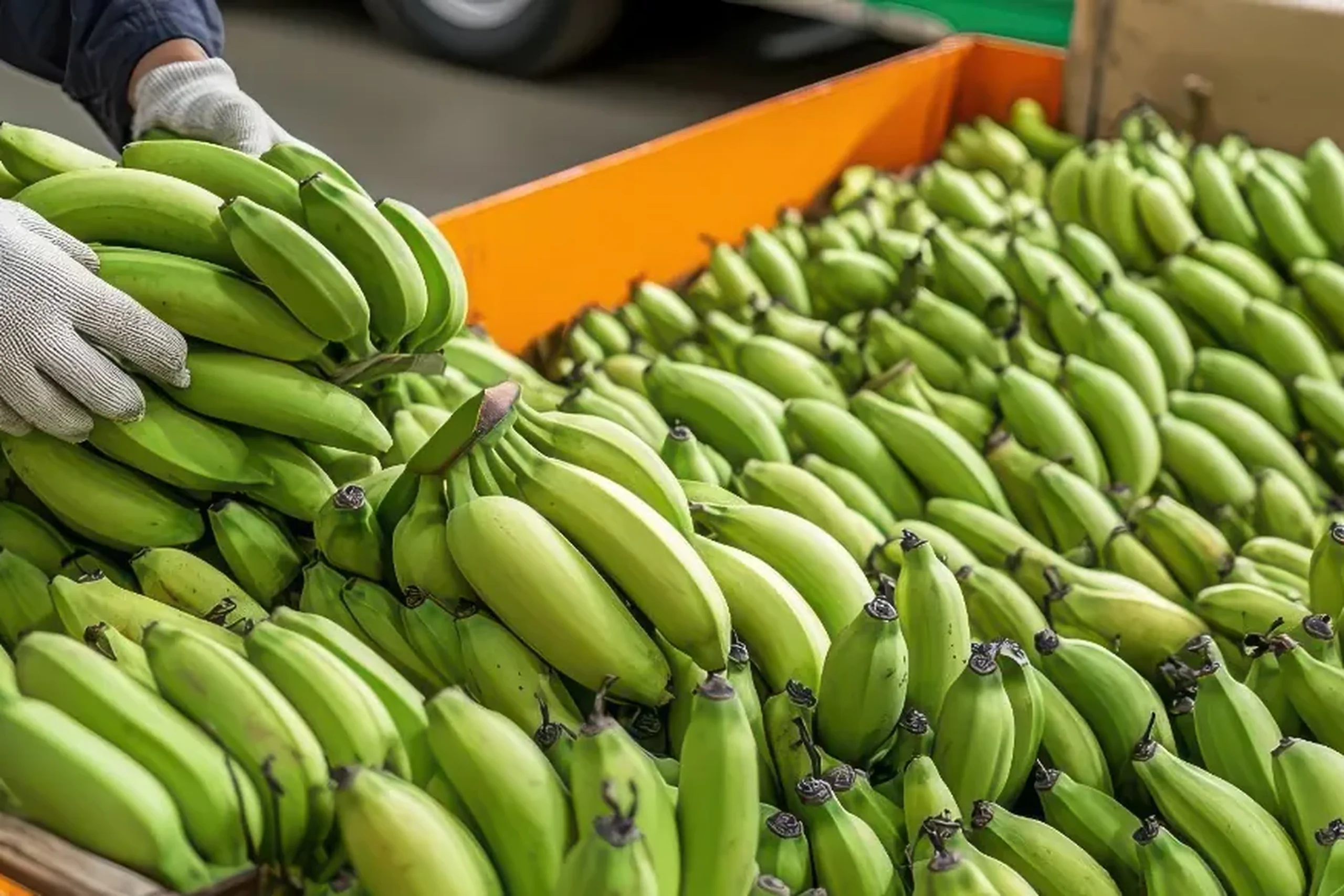 Dedicated transportation solutions for the food and beverage industry.