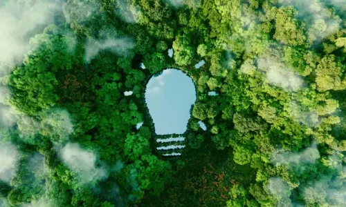 Private Fleet Sustainability