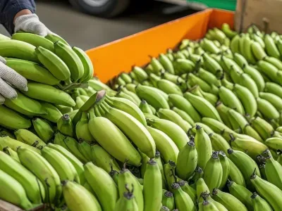 Dedicated transportation solutions for the food and beverage industry.